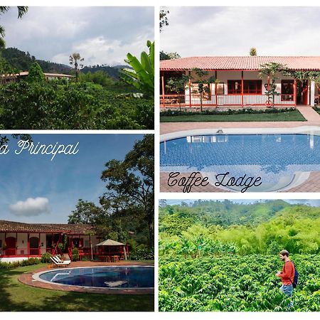 Hacienda Venecia Coffee Farm Hotel San Peregrino Zewnętrze zdjęcie