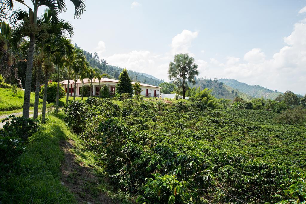 Hacienda Venecia Coffee Farm Hotel San Peregrino Pokój zdjęcie